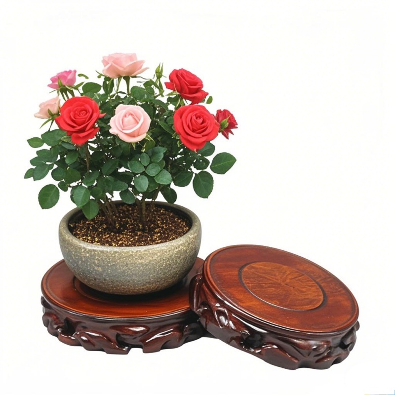 木製植物受け皿＆植木鉢スタンド - 多用途植木鉢ホルダー、盆 - Coffee Tea Gardens のレビューと価格